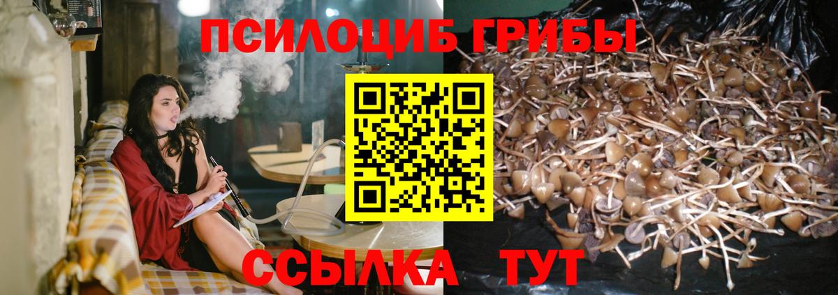 Бирск  Галлюциногенные грибы мухоморы  Вход с VPN 